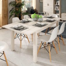 salon-2 (39) salon-2 (39)